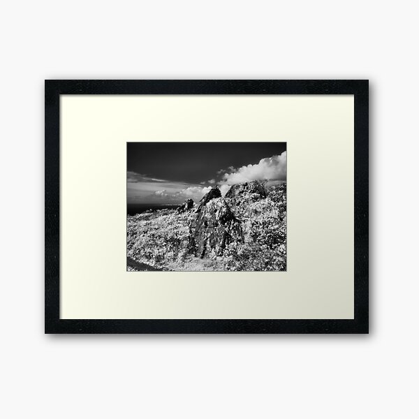 Item preview, Wolf Ridge, Marin Headlands designed and sold by Rodney Johnson.