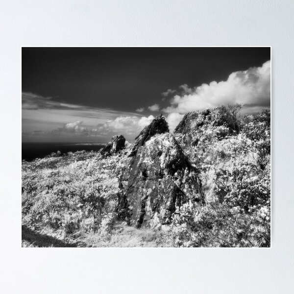 Item preview, Wolf Ridge, Marin Headlands designed and sold by Rodney Johnson.