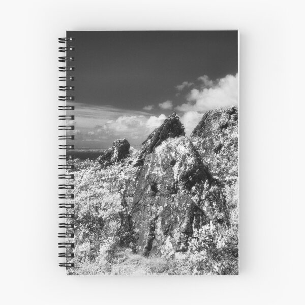 Item preview, Wolf Ridge, Marin Headlands designed and sold by Rodney Johnson.