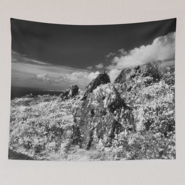 Item preview, Wolf Ridge, Marin Headlands designed and sold by Rodney Johnson.
