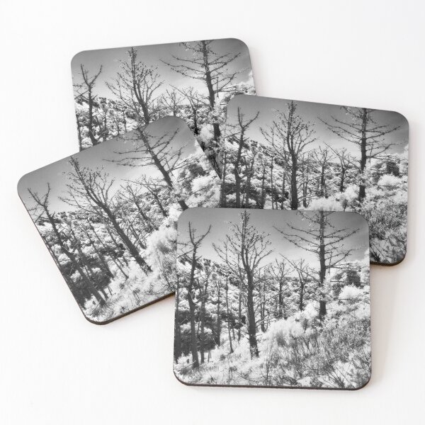 Item preview, Dead Pines on Angel Island designed and sold by Rodney Johnson.