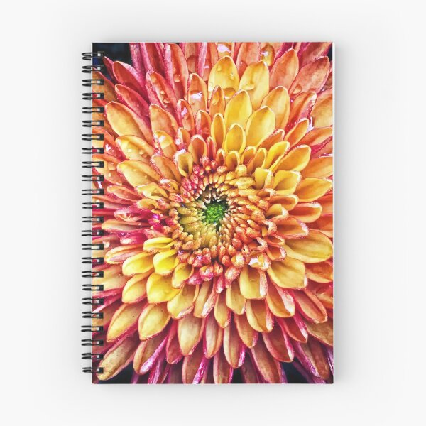 Item preview, Color Detonate designed and sold by Catherine Melvin.