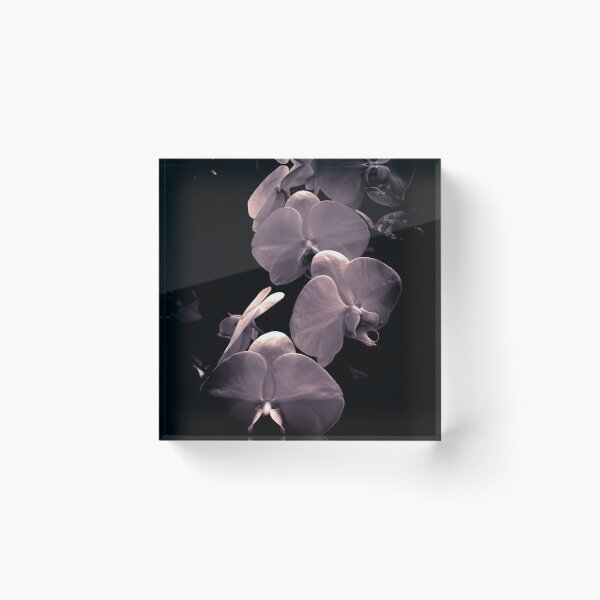 Item preview, Orchid-monochrome designed and sold by tiffanienunn.