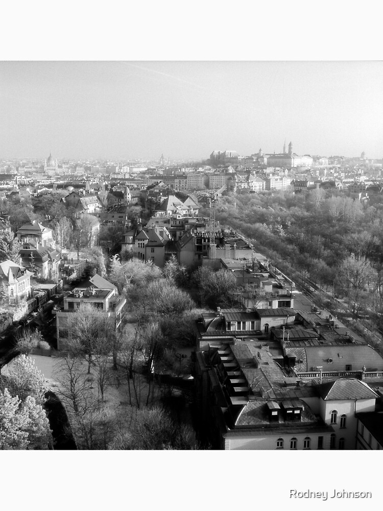 Wintery Budapest Skyline by rodneyj46