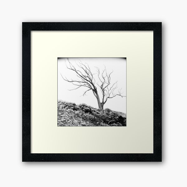 Item preview, Mount Davidson, San Francisco designed and sold by Rodney Johnson.