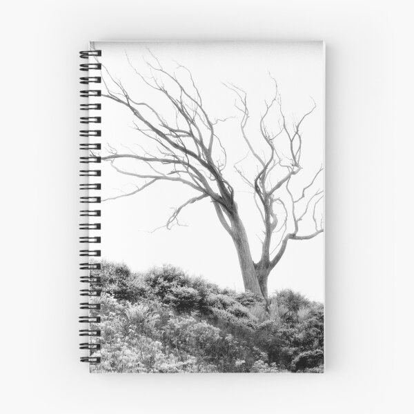 Item preview, Mount Davidson, San Francisco designed and sold by Rodney Johnson.