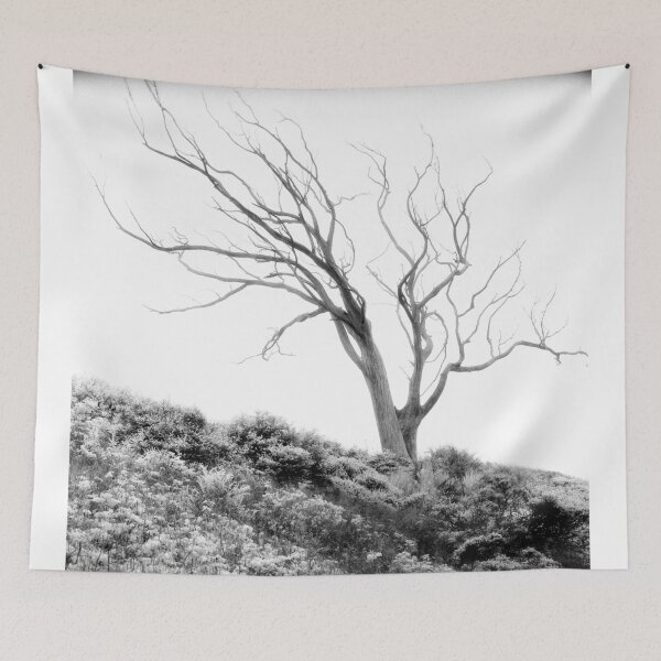 Item preview, Mount Davidson, San Francisco designed and sold by Rodney Johnson.