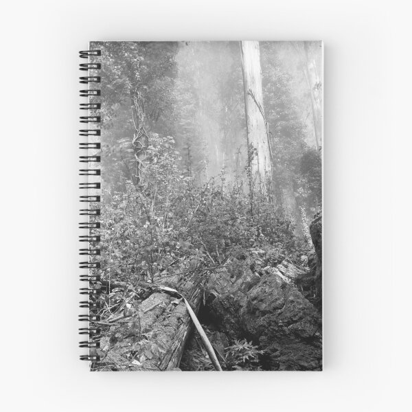 Item preview, Eucalypti of Mount Sutro designed and sold by Rodney Johnson.
