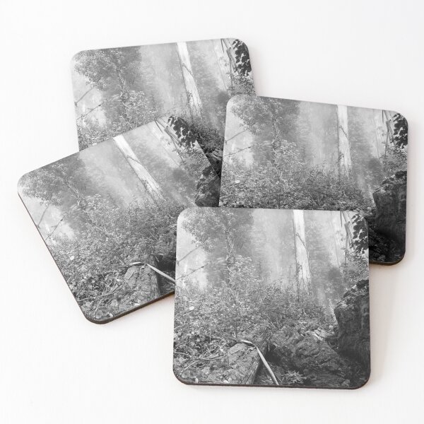 Item preview, Eucalypti of Mount Sutro designed and sold by Rodney Johnson.