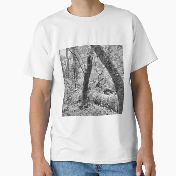 Dipsea Trail, Muir Woods National Monument Classic T-Shirt