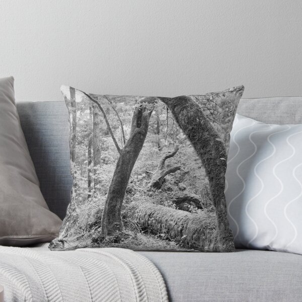Item preview, Dipsea Trail, Muir Woods National Monument designed and sold by Rodney Johnson.