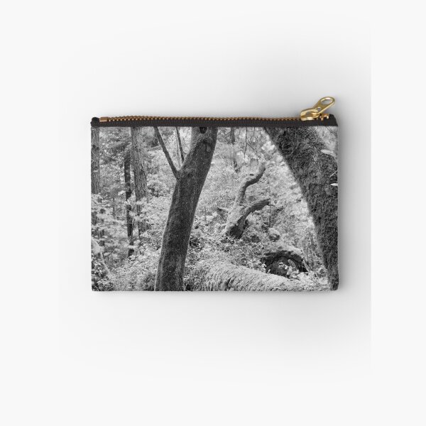Item preview, Dipsea Trail, Muir Woods National Monument designed and sold by Rodney Johnson.