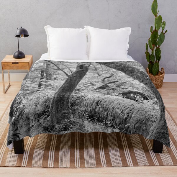 Item preview, Dipsea Trail, Muir Woods National Monument designed and sold by Rodney Johnson.