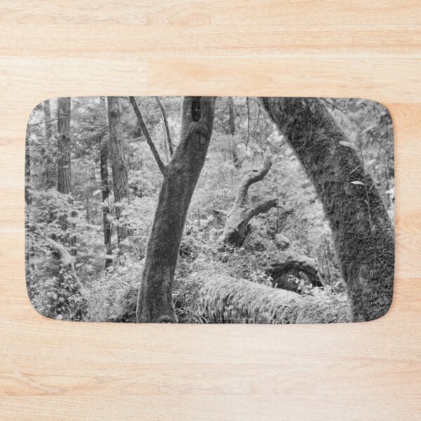 Item preview, Dipsea Trail, Muir Woods National Monument designed and sold by Rodney Johnson.