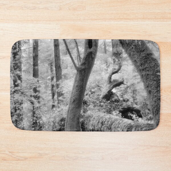 Item preview, Dipsea Trail, Muir Woods National Monument designed and sold by Rodney Johnson.