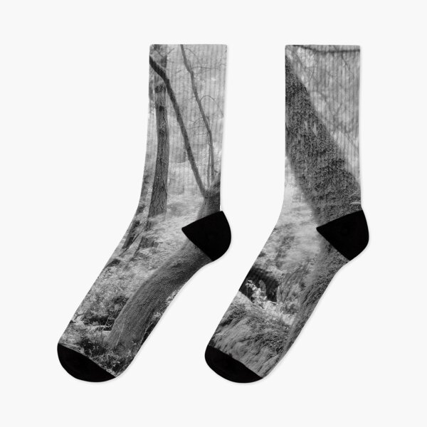 Item preview, Dipsea Trail, Muir Woods National Monument designed and sold by Rodney Johnson.