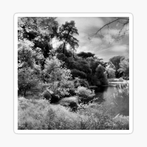 Mallard Lake, Golden Gate Park, San Francisco Sticker