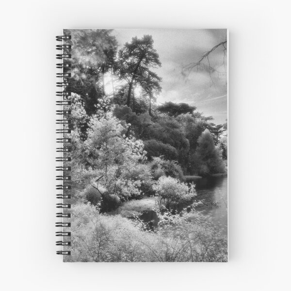 Item preview, Mallard Lake, Golden Gate Park, San Francisco designed and sold by Rodney Johnson.