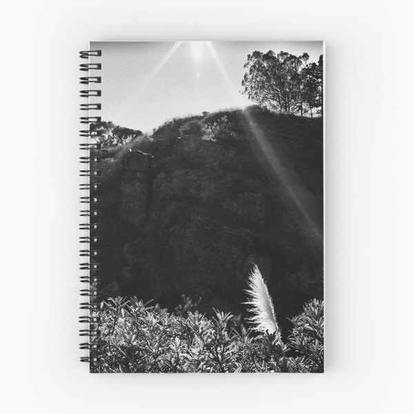 Item preview, Pampas Grass, Glen Canyon Park, San Francisco designed and sold by Rodney Johnson.