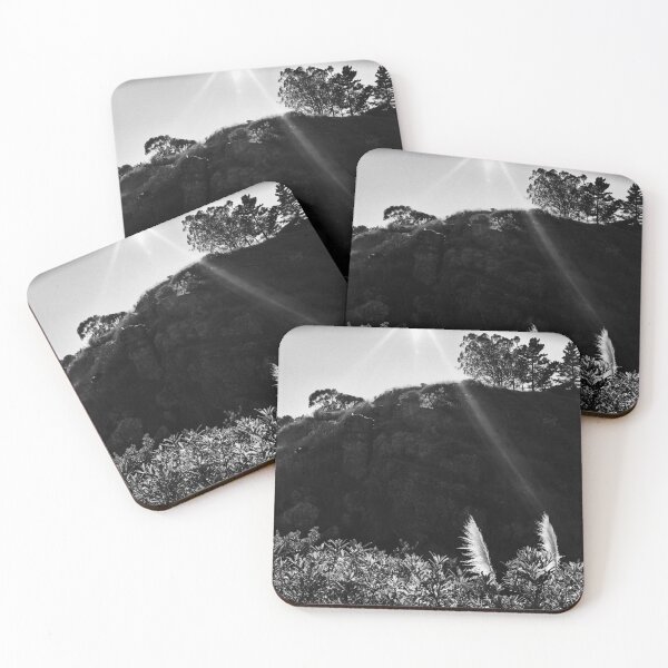 Item preview, Pampas Grass, Glen Canyon Park, San Francisco designed and sold by Rodney Johnson.