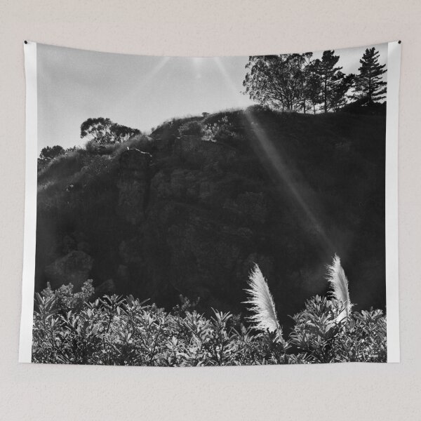 Item preview, Pampas Grass, Glen Canyon Park, San Francisco designed and sold by Rodney Johnson.