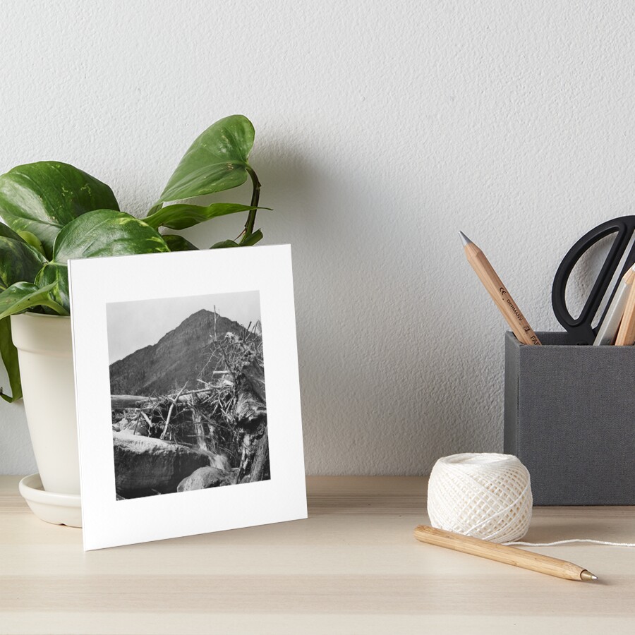 Avalanche Debris, Glacier N.P., Montana Art Board Print
