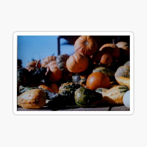 Autumn Harvest Sticker