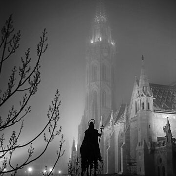 Artwork thumbnail, Matthias Church, Budapest by Rodney Johnson