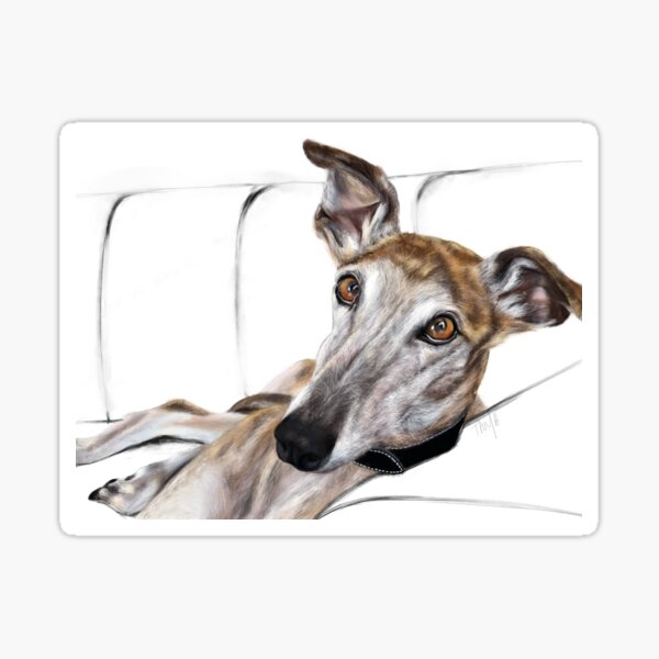 Brindle Greyhound Sticker