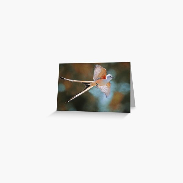 Aerial Ballet of the Scissortail Greeting Card
