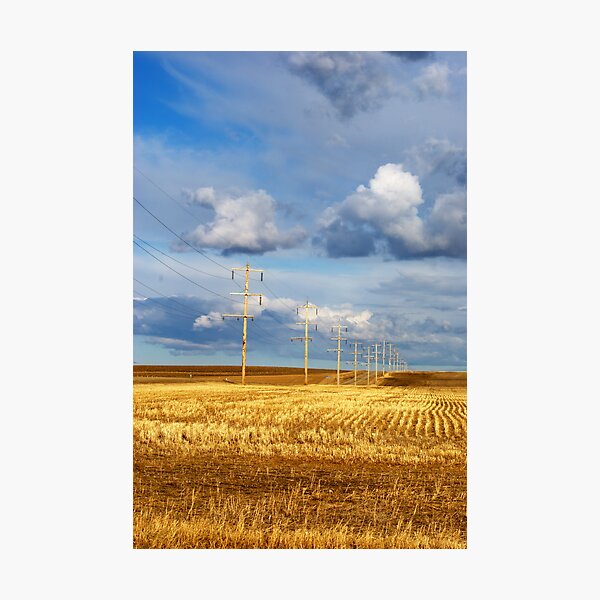 Sunlit Alberta Spring Photographic Print