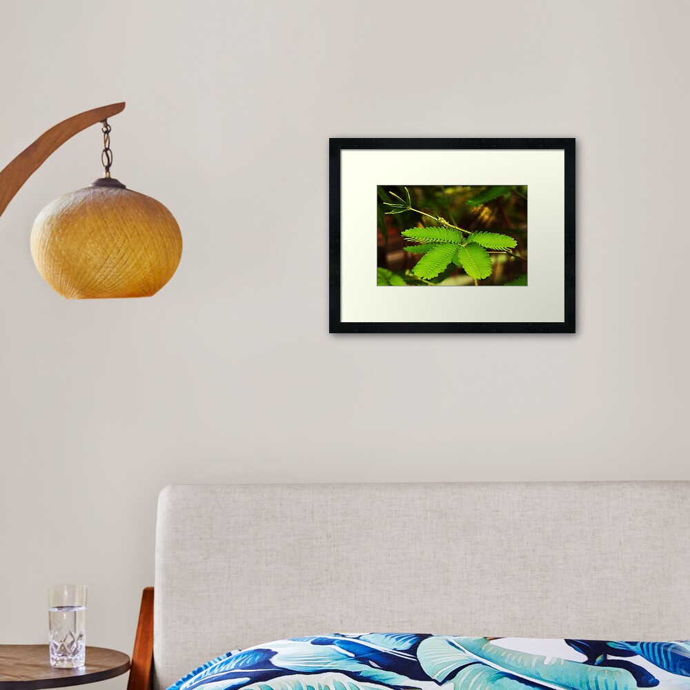 Item preview, Framed Art Print designed and sold by steppeland.