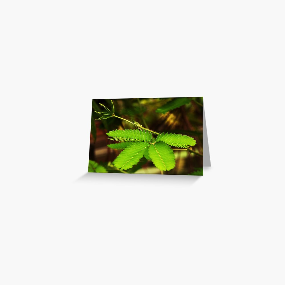 Item preview, Greeting Card designed and sold by steppeland.