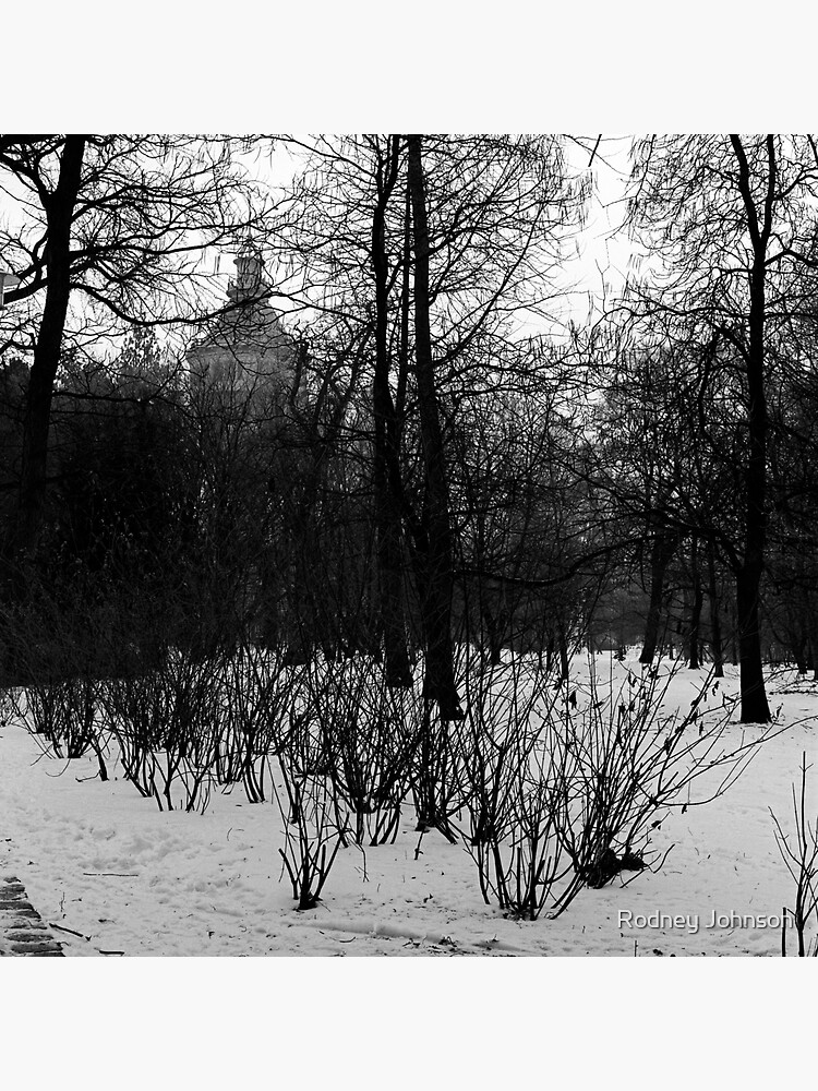 Water Tower, Margaret Island, Budapest by rodneyj46
