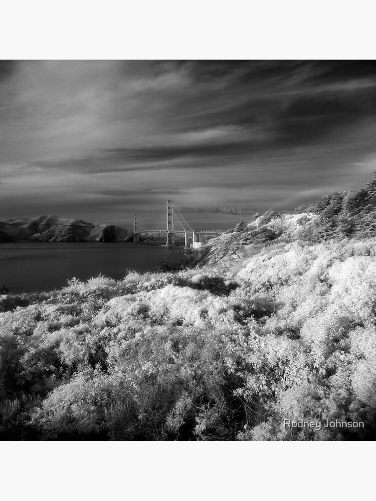 Battery Crosby, Presidio, San Francisco by rodneyj46