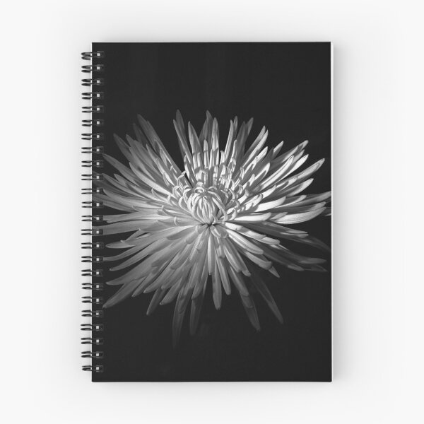 Item preview, Spring Chrysanthemum designed and sold by Rodney Johnson.