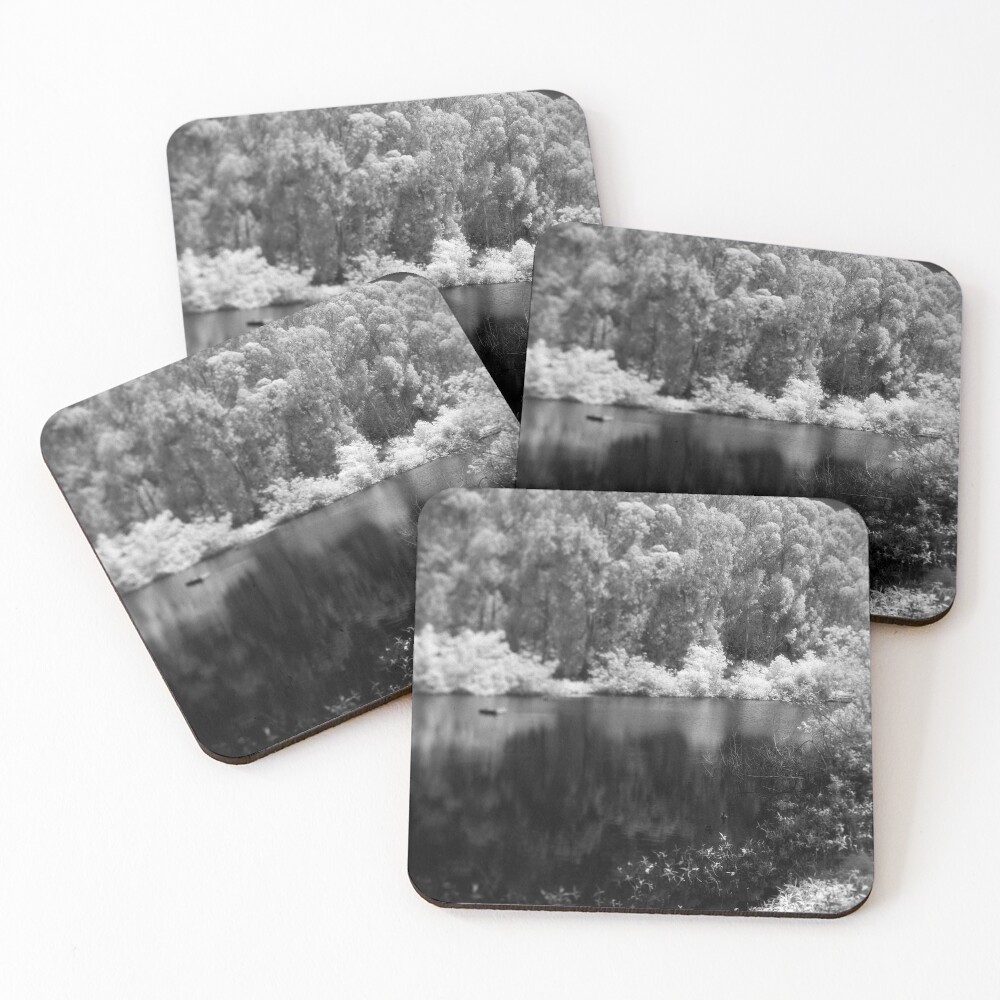 Pine Lake Coasters (Set of 4)