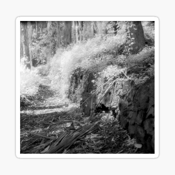 Old Stone Retaining Wall Sticker