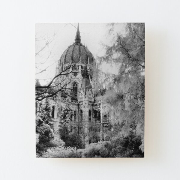 Parliament Building (Országház), Budapest Wood Mounted Print