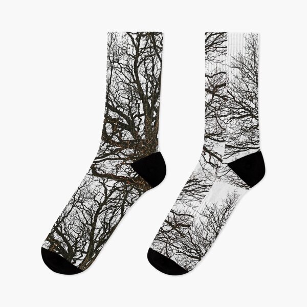 Item preview, Winter Oak designed and sold by Debbie Oppermann.