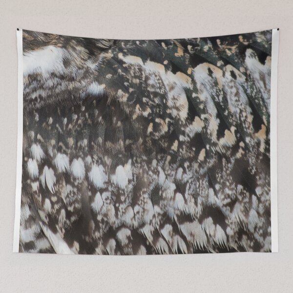 Item preview, Nighthawk feathers designed and sold by MfisherArt.