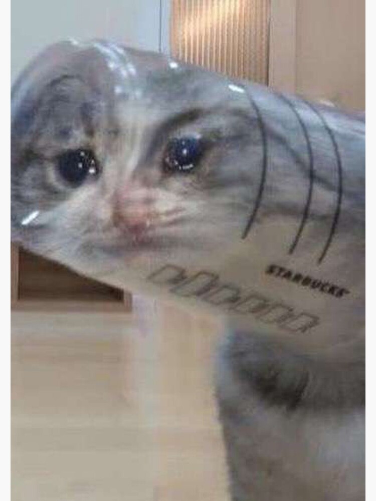 sad cat meme shirt