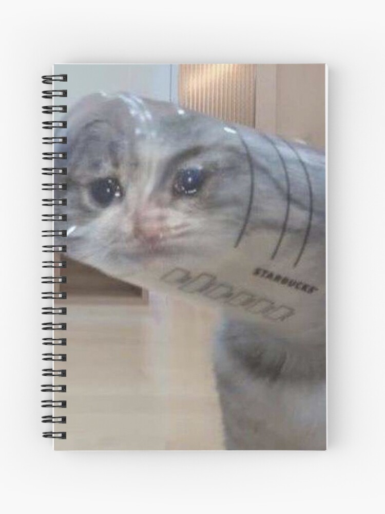 Sad Face Meme Spiral Notebooks for Sale