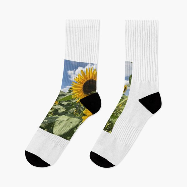 Item preview, Sunflowers at Lyman Orchards in Connecticut  designed and sold by Paintingladycat.