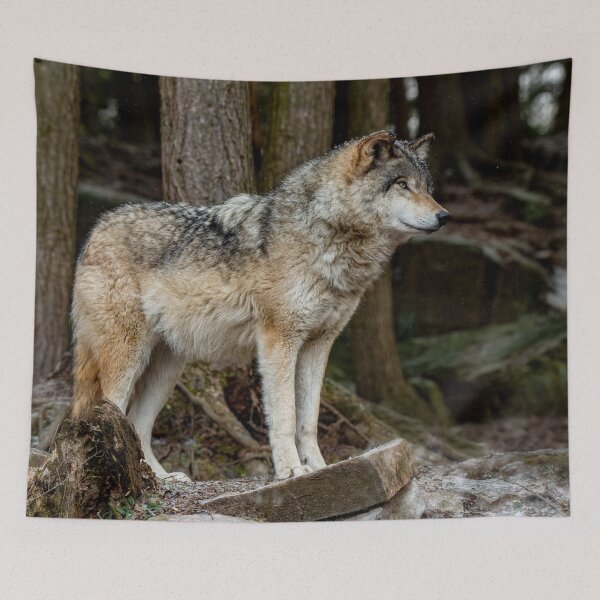 Item preview, Eastern Gray Wolf designed and sold by Michael Cummings.