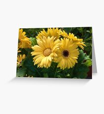 Golden Orbs Greeting Card