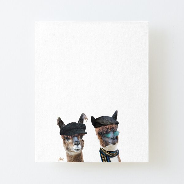 Best Friends Two Albacas Llamas Canvas Mounted Print