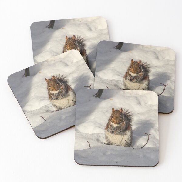Item preview, Chilly squirrel needs a sweater designed and sold by jodi payne.