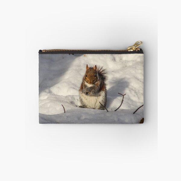 Item preview, Chilly squirrel needs a sweater designed and sold by jodi payne.