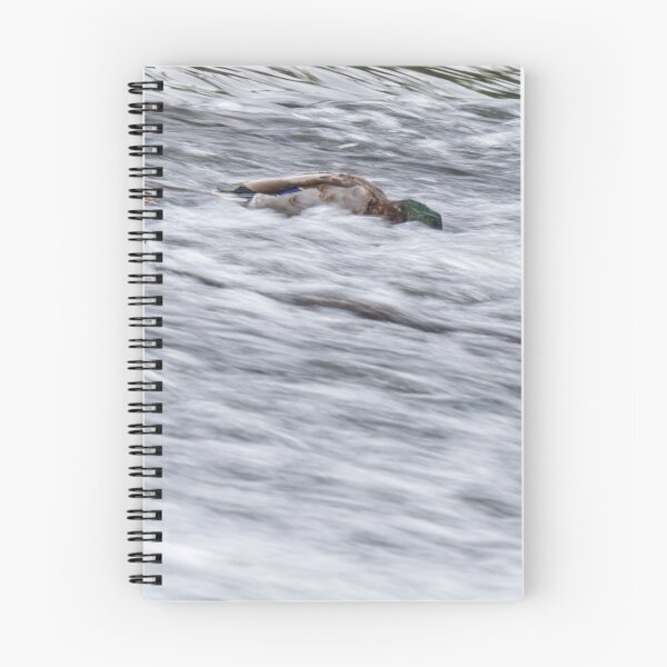 Item preview, River Life - Mallard Pair designed and sold by Alius Imago.